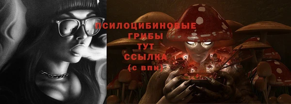 дживик Алексин